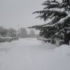 la grande nevicata del febbraio 2012 073